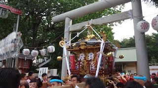 平成２８年　1/3 寒川町岡田　天の宮　菅谷神社 神幸祭　天保神輿発輿