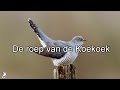 De roep van de Koekoek (HiFi audio)