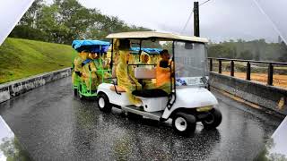 池上耘禾莊園安全接龍蜈蚣車  109年11月06日  三重郵局  一行貴賓