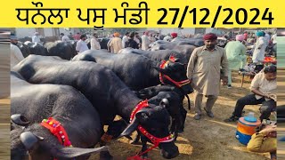 ਧਨੌਲਾ ਪਾਸੂ ਮੰਡੀ 27/12/24...