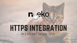 Using Certbot to Get HTTPS for Your Self Hosted Virtual Browser - n.eko
