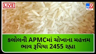 Mandi : કલોલની APMCમાં ચોખાના મહત્તમ ભાવ રૂપિયા 2455 રહ્યા| GUJARAT  | Tv9News