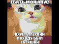 Котик выпал