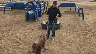 Breakaway Roping Tips by Tuf Kaf