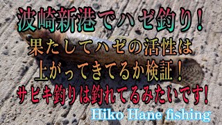 波崎新港でハゼ釣り!ついでにサビキ釣りをもやってみた!