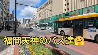 【福岡天神のバス達】天神の街を駆け抜ける🤗9−4