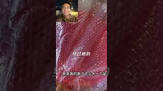 用了四十多年的盆，质量完好如初，被品牌方换新 ｜盆子｜带货