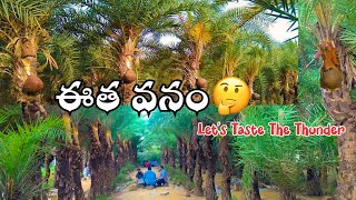 Eetha Vanam (ఈత వనం) | #toddy #kallu #narsapur #viral #trendingtopic