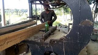 কাঠ মিল নিমিষেই গাছ শেষ|Wood Mill Nimese|