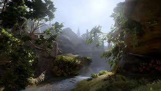 Dragon Age Inquisition - wallpaper engine - 60fps