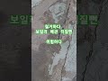 마루철거 이렇게 위험합니다 shorts