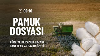 Pamuk Dosyası