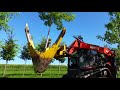 tree farming in the gta farm 42 dinner starts here