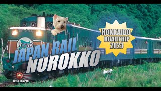 JR Joyful Norokko Train across Kushiro Marshlands