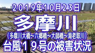 2019年10月23日「多摩川」台風19号の被害状況