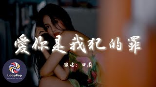 田園 - 愛你是我犯的罪『時光平不了心碎離開的愛難再追，想問問你慚不慚愧。』【動態歌詞 | Pinyin Lyrics】【LoopPop MUSIC】