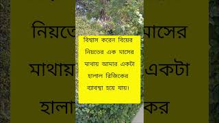 বিয়ে করলে রিজিক বৃদ্ধি পায় 😊 সম্পুর্ন টা পড়লেই বুঝতে পারবেন মাশাল্লাহ 😊