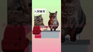 初めて海外旅行に行った話【猫ミーム】　#shorts