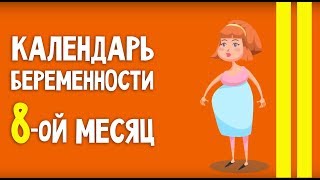 Беременность | 8 месяц