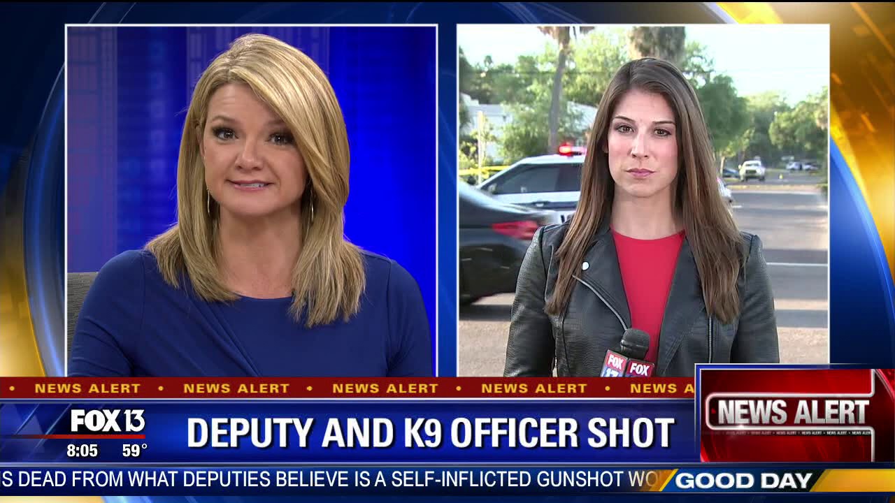 Fox 13 Good Day Tampa Bay 8 O Clock Hour Youtube