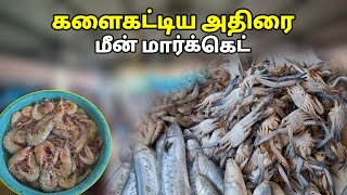 பொங்கல் திருநாளை முன்னிட்டு களைகட்டிய அதிரை மீன் மார்க்கெட் | Adirai Zubair Vlogs