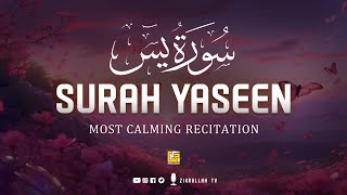 Best Quran recitation in the World of Surah Yasin (Yaseen) سورة يس | Zikrullah TV