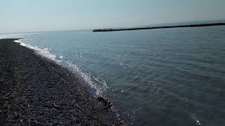 Ein Sonniger Tag in Podersdorf am See