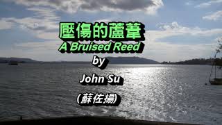 壓傷的蘆葦 A Bruised Reed  By John Su (蘇佐揚) 古今聖詩(245) Instrumental Christian Music