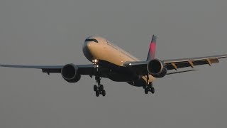 ✈[4K] Delta Air Line A330neo N401DZ landing @Narita Airport rwy34L(成田空港)