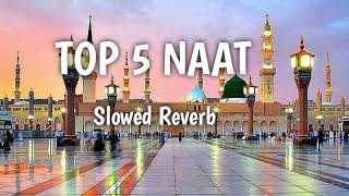 Top 5 Naat _ 🥀2023 [ Slow+ reverb Naat ] Hafiz Tahir Qadri _ Gulam Mustafa _Others