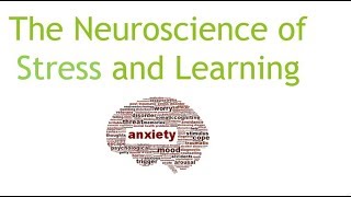 The Neuroscience of Stress and Learning