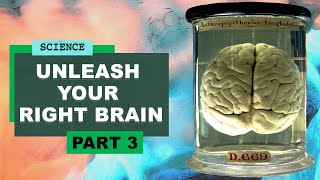 Unleash your right brain | Harvard Professor Dr Jill Bolte Taylor of Neuroscience meets Robin Ince
