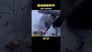 《雪地露營系列》完整版：讓你在雪地中溫暖舒適的秘密！ #荒野建造 #丛林木屋 #木屋别墅 #荒野生存 #手工建造