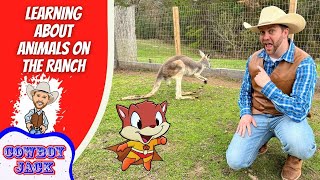 Learn About Animals at the Ranch