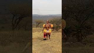 Zulu Queen #proudlysouthafrican #africa #culture #africanqueen #zulu#indigenous #africa #shortvideo