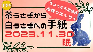 茶うさぎから白うさぎへの手紙 2023「329. 正義」