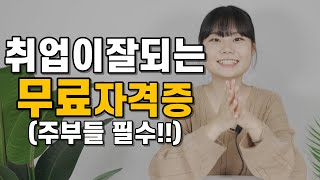 무료로 취득할 수 있는 방과후돌봄교사 꼭 따세요 (주부들 필수)