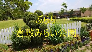 Enjoy the park  倉敷みらい公園