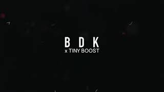 BDK X TINY BOOST- Rivals ( peckham )