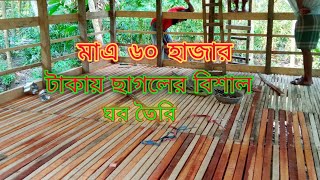 কম খরচে মাচা পদ্ধতিতে ছাগলের ঘর নির্মাণ 2024|  KOM KOROS A MACA PADDTI  TA CAGOL AR GOR TOIRE 2024|