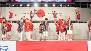 [4K] 高知りょうまライオンズクラブ　高知よさこい祭り 2018 本祭1日目 (中央)