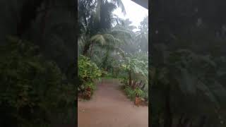 ഇന്നത്തെ മഴയും അതിശക്തമായ കാറ്റും 😜😜#viral #dhyanchirikudukka.