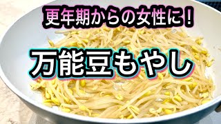 【お財布に優しい】スーパー野菜！豆もやしの便利な保存法＆活用レシピ！骨を強くする発芽野菜を賢くストック