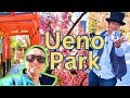 TOKYO Ueno Park Walkthrough - Japan Travel Vlog