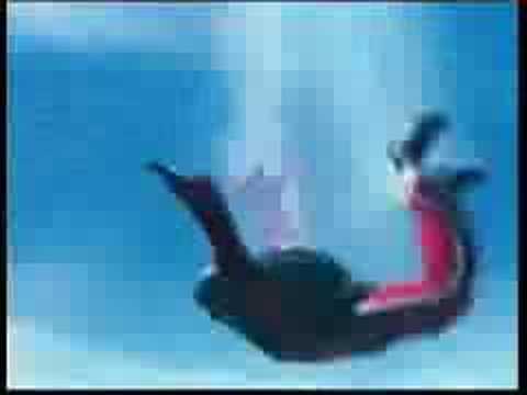 Dana Bowman Phone Number Address Age Contacts 305 Records Found