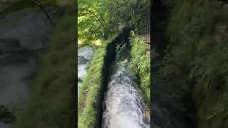 ഒരു നദിയുടെ തുടക്കം കണ്ടിട്ടുണ്ടോ | Lison River in France