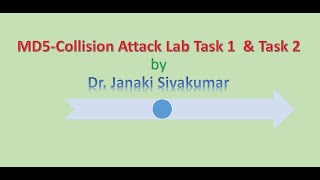 MD5-Collision Attack Lab-Task1 and Task 2