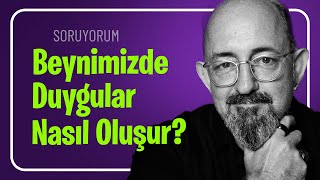 Beynimizde Duygular Nasıl Oluşur? I SoruYorum