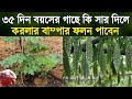 ৩৫ দিন বয়সের করলার গাছে কি সার দিলে বাম্পার ফলন পাবেন - করলার চাষ করার পদ্ধতি - Bitter Gourd