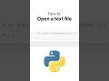 Open a txt file in python